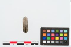 Foto von Tonringperle (NHMW-PRAE-025042)